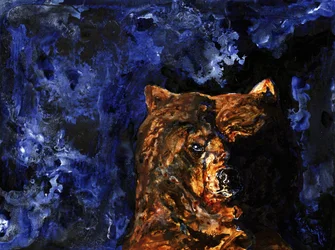 Potężne spojrzenie grizzly