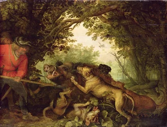 Polowanie na dzika, 1611