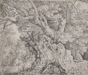 Sękate drzewo, ca. 1608-09.