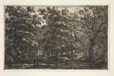 Int Seuniger Bos