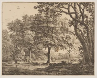 Plate. 6, z Sześć widoków w lesie w Hadze