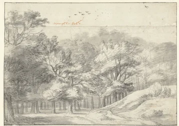 Zobacz w Haagse Bos