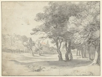 Widok na Haagse Bos, z Grote Kerk, Haga, w oddali
