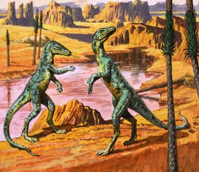 Saltoposuchus, ilustracja z książki "In the Days of the Dinosaurs, Discovery in the Desert", 1980 (gwasz na papierze)