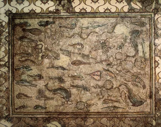Sztuka rzymska: mozaika ryb. Początek III wieku. Tarragona. Narodowe Muzeum Archeologiczne.