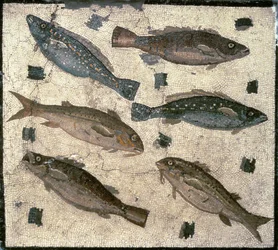 Ryba (mozaika)