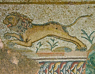 Scena polowania, fragment lwa, Dom Dionizosa, Pafos, mozaika cypryjska