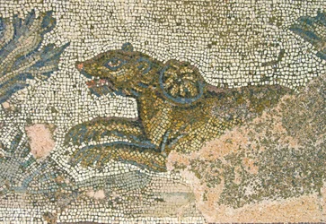 Scena polowania, szczegół lwicy, Dom Dionizosa, Pafos, Cypr mozaika