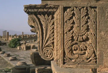 Fragment architektury z rzeźbioną dekoracją, Targ Sertius, Okres Wysokiego Imperium (27 p.n.e.-395 n.e.)