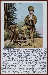 Pocztówka przedstawiająca owczarka rumuńskiego, ok. 1906
