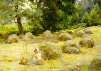 Sianokosy