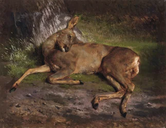 Sarna w lesie (olej na płótnie)