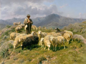 Pasterz Pirenejów