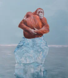 Uścisk orangutana na lodzie