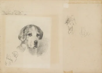 Portret psa: Windsor, 1877