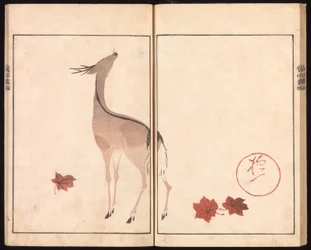 Album obrazów Ōson (Hōitsu) (Ōson gafu)