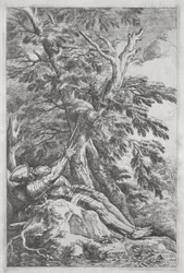 św. 1662.