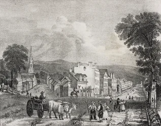 Widok Utica, Stany Zjednoczone Ameryki, litografia Salvatore Puglia z Poliorama Pittoresco, nr 49, 13 lipca