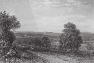 Australia: Na obfitości, niedaleko Melbourne (grawerunek)