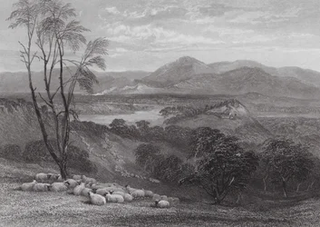 Australia: Górny Goulburn, Wiktoria (rycina)