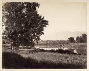 Beej Bihara był Jhelum