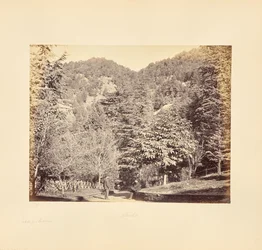 Simla; Jakko, z "Oakover" (widok ogólny z drogi Tonga)