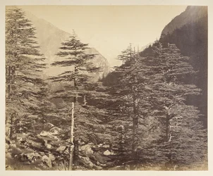 Ośnieżone szczyty w pobliżu Gangootri z Bhairamghati. Fotograf: Bourne, Samuel Album fotografii Indii, głównie Samuela Bourne