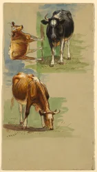 Rysunek, bydło, woły, 1875-80