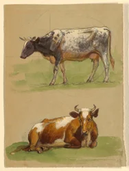 Rysunek, bydło, krowa idąca i krowa przykucnięta, 1875-80