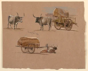 Rysunek, Oxcarts, Rzym, Włochy, styczeń 1873 r.