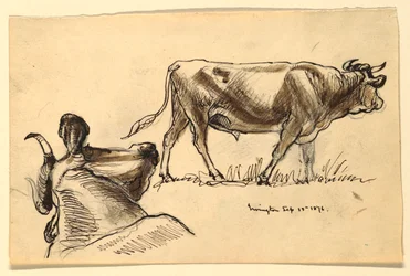 Rysunki, szkice. Bydło, Irvington, wrzesień 1876 r.