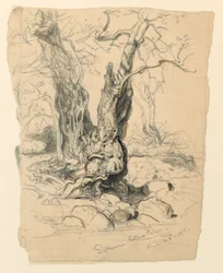 Rysunek, Studia. Drzewa, 23 grudnia 1885 r.