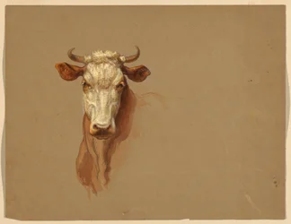 Rysunek, Dwa studia.  Bydło, 1876