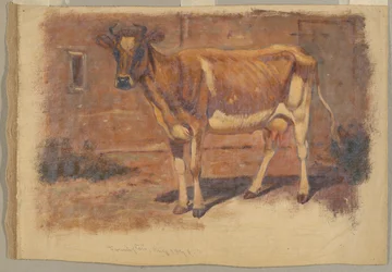 Studium stojącej krowy, Farmington