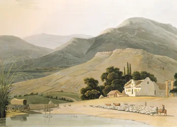Dom buraka, tablica 16 z „Afrykańska sceneria i zwierzęta”, rytowany przez artystę, 1805 (akwatinta)