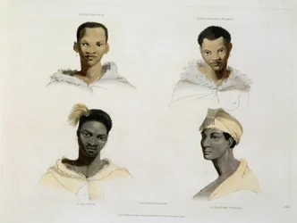 Hottentot, Hottentot Woman, Kaffre, Kaffre Woman: cztery winiety głowy i ramion, tablica 14 z „Afrykańska sceneria i zwierzęta”, rytowana przez artystę, 1804 (akwatinta)