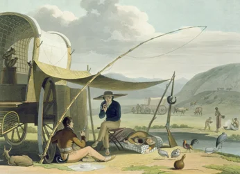 Postój buraka, tablica 17 z „Afrykańska sceneria i zwierzęta”, rytowany przez artystę, 1805 (akwatinta)