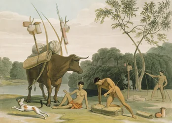 Korah Hottentots Przygotowanie do usunięcia, płyta 20 z „Afrykańska sceneria i zwierzęta”, ryty przez artystę, 1805 (akwatinta)