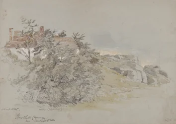 Rusthall Common, niedaleko Tunbridge Wells, ok. 1845 (ołówek, toaleta i gwasz na papierze)