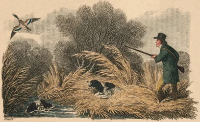 Strzelanie do kaczek, 1810.