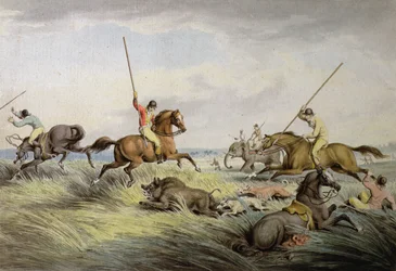 The Hog Chase – The Kill, z „Kolekcji brytyjskich nadruków sportowych Orme”, 1822 r.