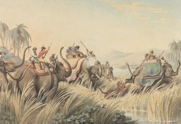 Tygrys osaczony: ilustracja do „Oriental Field Sports” kapitana Thomasa Williamsona
