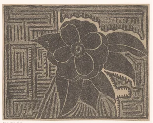 Kamelia (czarna; wokół labiryntu)