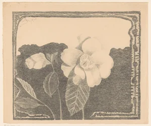 Camelia, zostawiła kwiat w zarodku