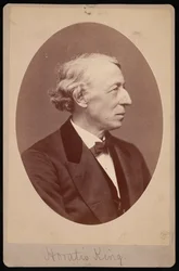 Portret króla Horatio 1811-1897, w latach 1876-1880.