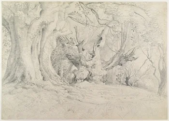 Starożytne drzewa, park Lullingstone, 1828 (grafit na papierze)