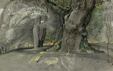 Dąb i buk, Park Lullingstone