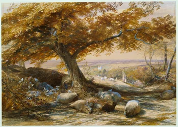 Owce w cieniu, ok. 1851