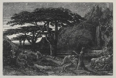 Gaj Cyprysowy, 1883.