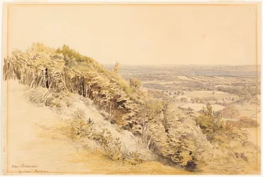 Widok z Wilmots Hill, Kent